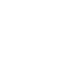 Pruebas de penetración regulares